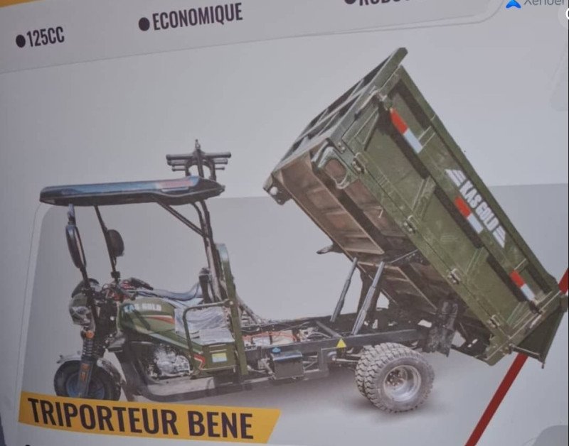 TRIPORTEUR GRAND FORMAT KG300