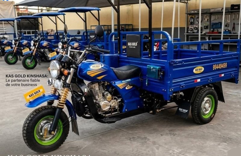 TRIPORTEUR PETIT FORMAT KG200